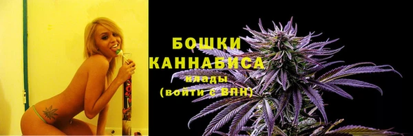 МДПВ Бронницы