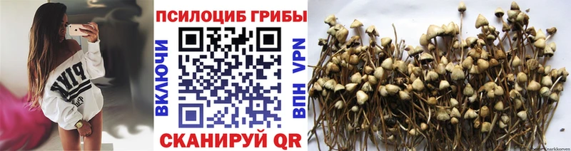 Галлюциногенные грибы GOLDEN TEACHER Спас-Деменск