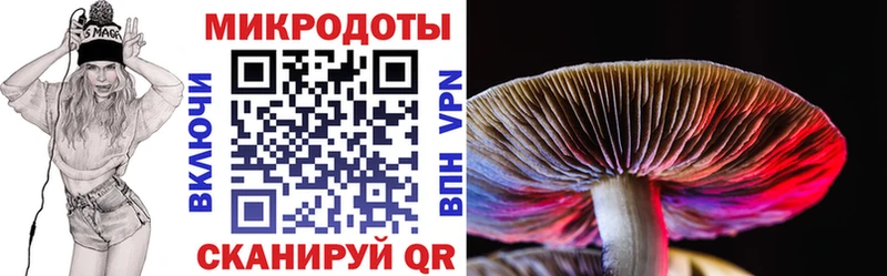 Псилоцибиновые грибы ЛСД  как найти закладки  OMG ссылка  Спас-Деменск 